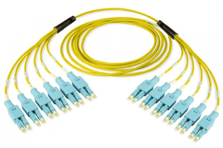 Siemon TFUECALBBBB030M-SALE Оптическая кабельная сборка на основе одномодового кабеля OS1/OS2, 24 волокон, LEG OD (side A) = duplex 2 мм, LEG OD (side B) = duplex 2 мм, LC UPC singlemode - LC UPC singlemode, оболочка LSOH, 30 м (РАСПРОДАЖА)